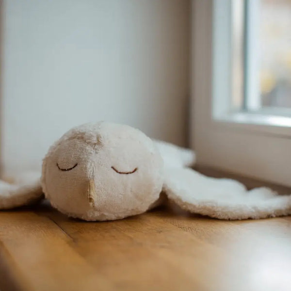 Travel Neck Pillow for Children - LittleLife Snooze Pillow Owl Travel Neck Pillow for Children - LittleLife Snooze Pillow Owl