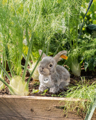 Steiff Dormili Rabbit