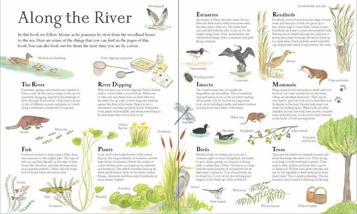 Mouse on the River