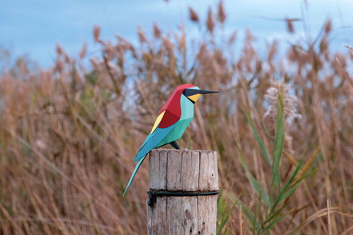 Bee-Eater - Bird 3D Paper Figure By Plego