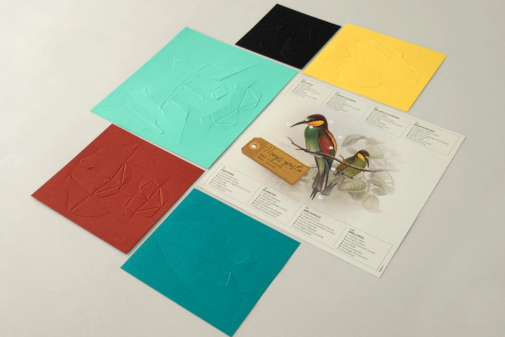 Bee-Eater - Bird 3D Paper Figure By Plego