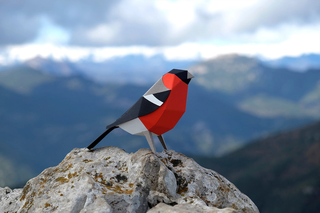 Bullfinch - Bird 3D Paper Figure By Plego