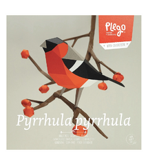 Bullfinch - Bird 3D Paper Figure By Plego
