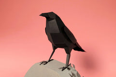 Raven - Bird 3D Paper Figure By Plego