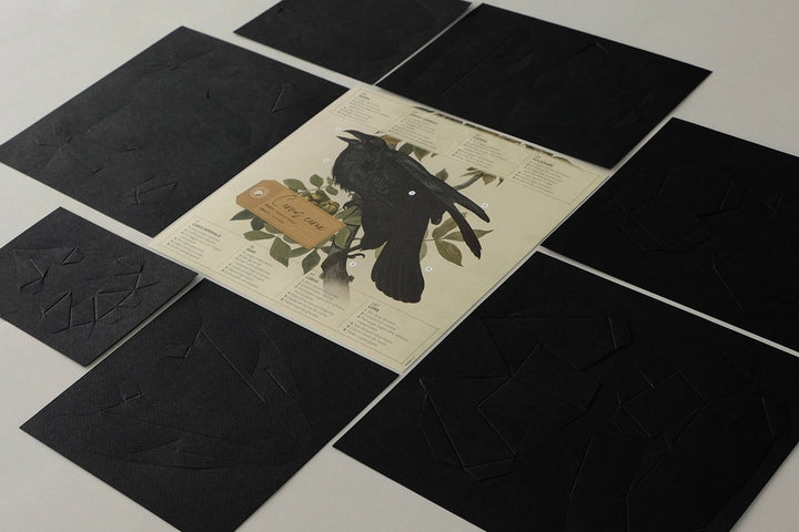 Raven - Bird 3D Paper Figure By Plego