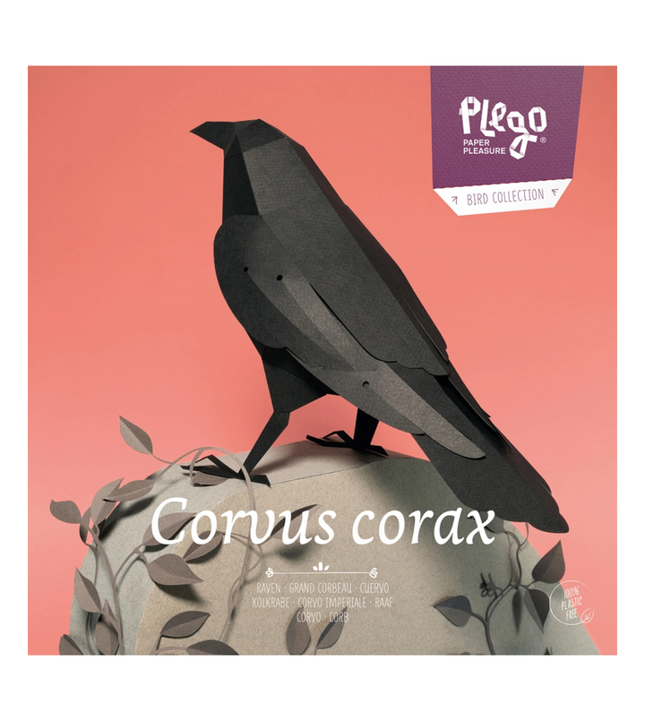 Raven - Bird 3D Paper Figure By Plego