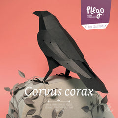 Raven - Bird 3D Paper Figure By Plego