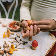 Grapat Mushroom Grove Play Set