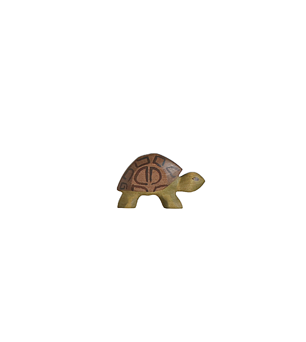 Holzwald Turtle