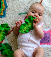 Natural Rubber Kale Teether