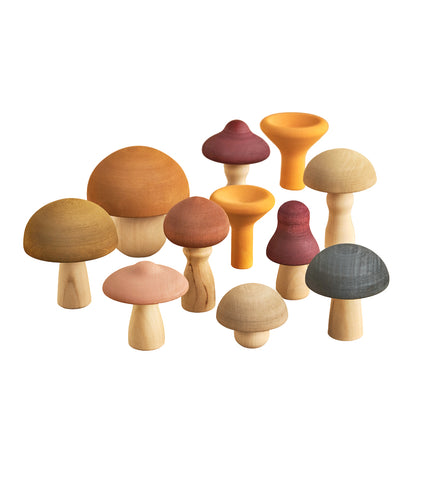 Raduga Grez Wooden Mushroom Set
