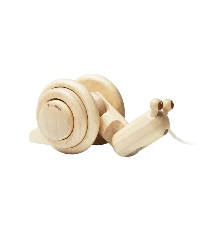 Natural Pull Along Snail